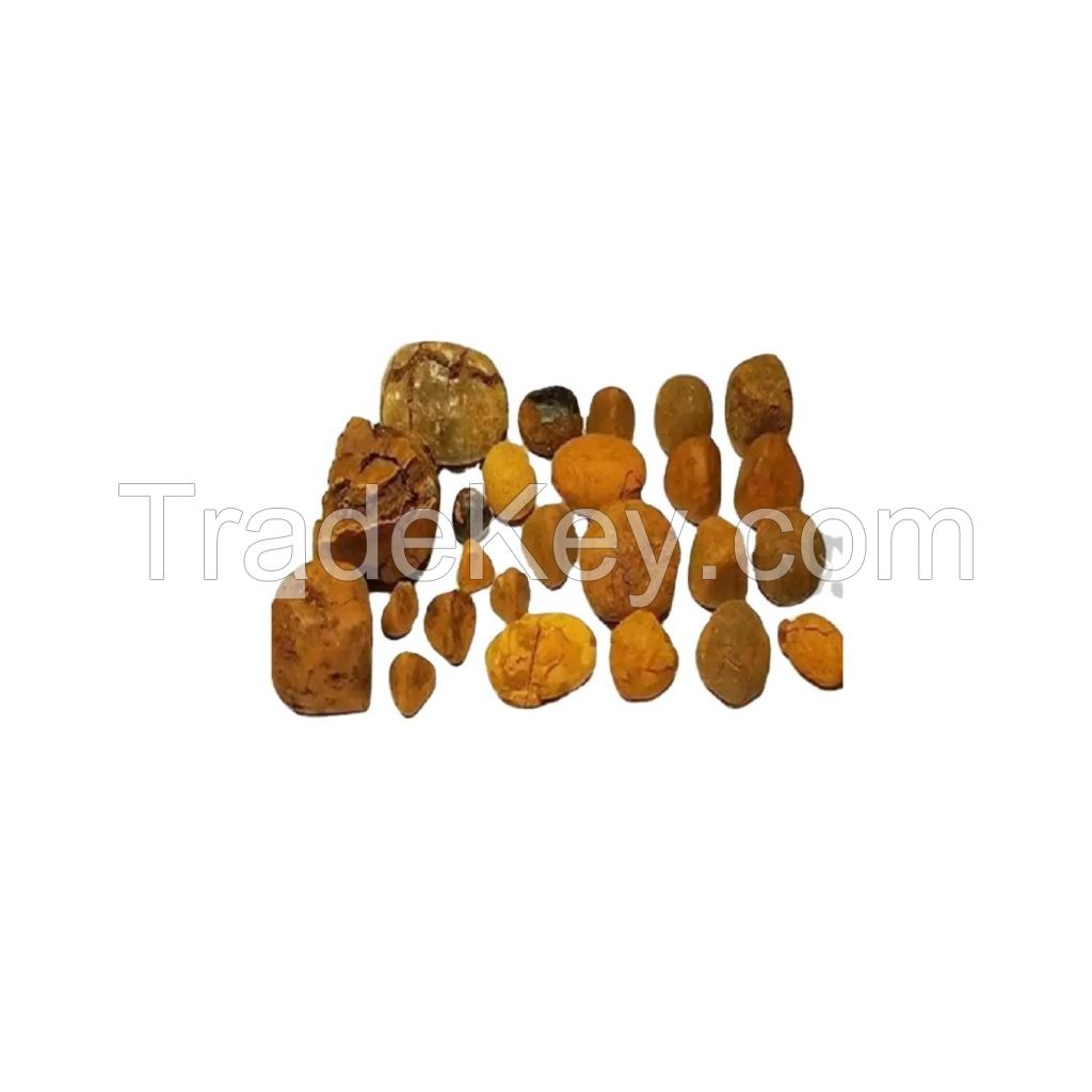 100% Natural Cow OX gallstones for sale cattle cow price dried ox gallstones cow