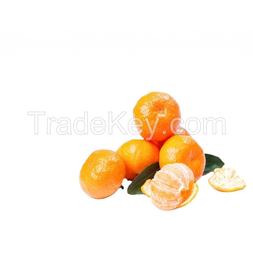 fresh citrus naval oranges fresh valencia oranges 20kg carton 25tons mandarins valencia orange fresh valencia oranges yellow
