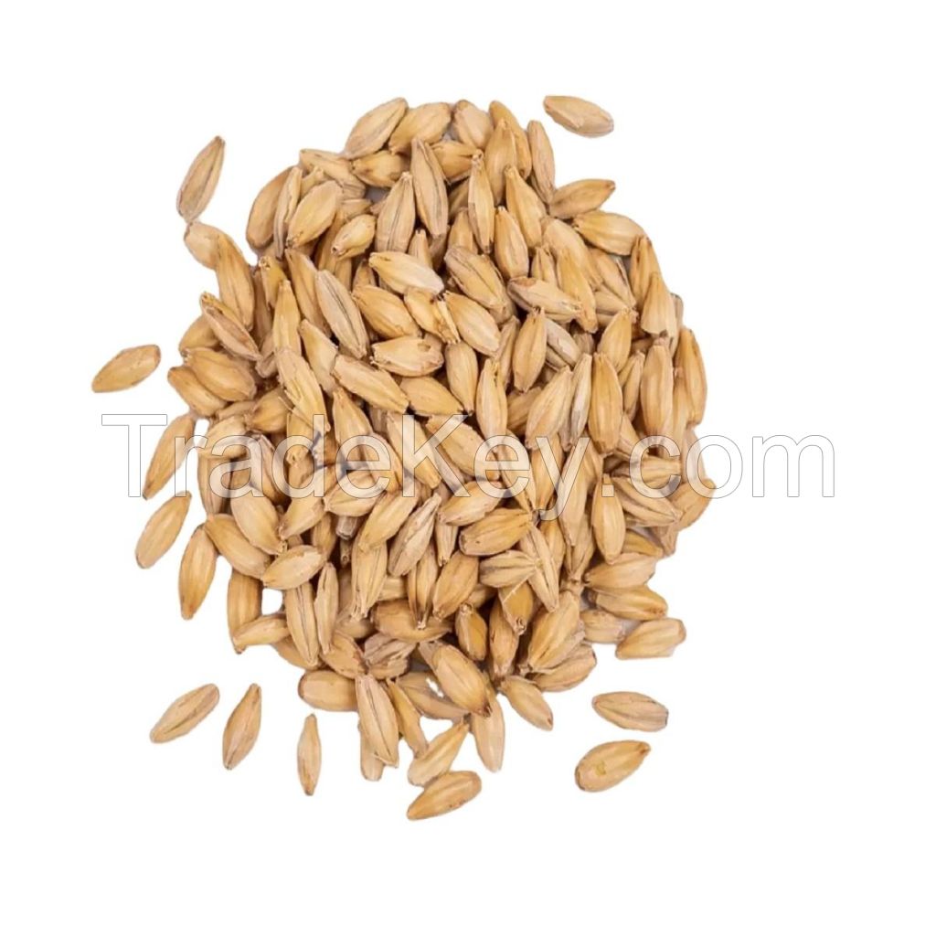 Premium Organic Barley Seeds - Ideal for Feeding Dogs, Chickens, and More - Max Nutrition in Every Bag