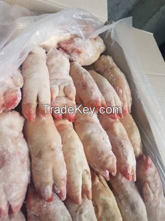 Wholesale United States Frozen Pork Hind Feet Short Cut