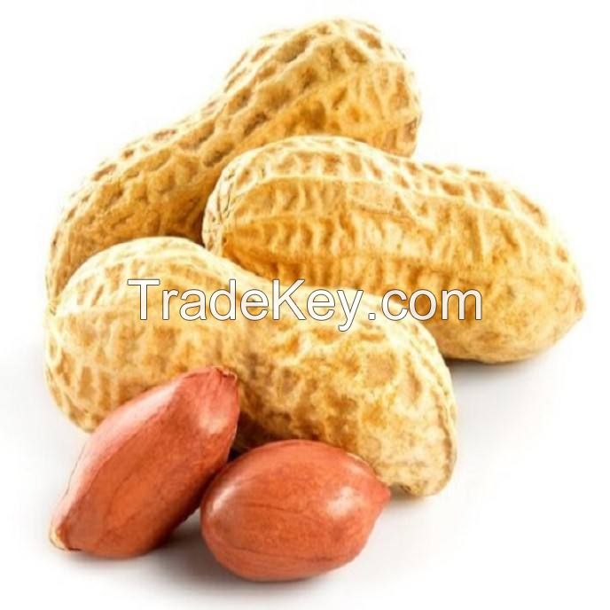 organic peanut butter raw peanuts salted peanuts for sale  roastet blanched  salted peanuts