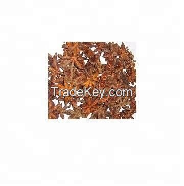 star aniseed supplier aniseeds anise and green anise for sale black  star  black anise aniseed spice