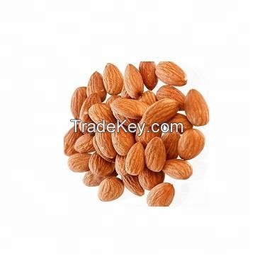 almond nut sweet bitter almond nut rich nutrition roasted big size gift bulk supply style storage almond nuts raw