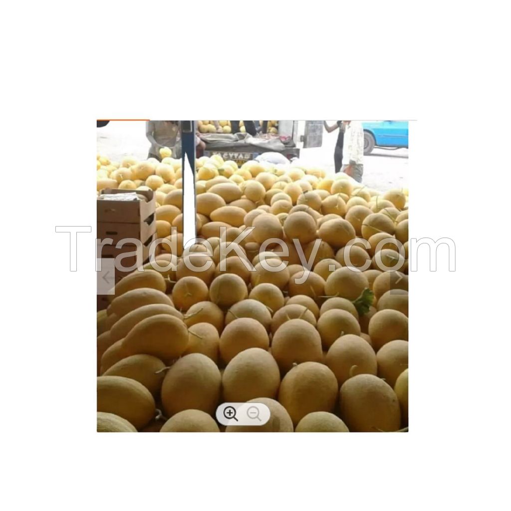 Wholesale custom private label water melon cantaloupe melon seeds 25/50 Kg  50kg 25 tons 15days watermelon