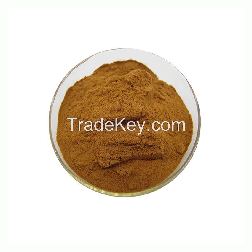 High Quality Valerian Extract Valerianic Acid Powder Natural 10:1 Valerian Root Extract