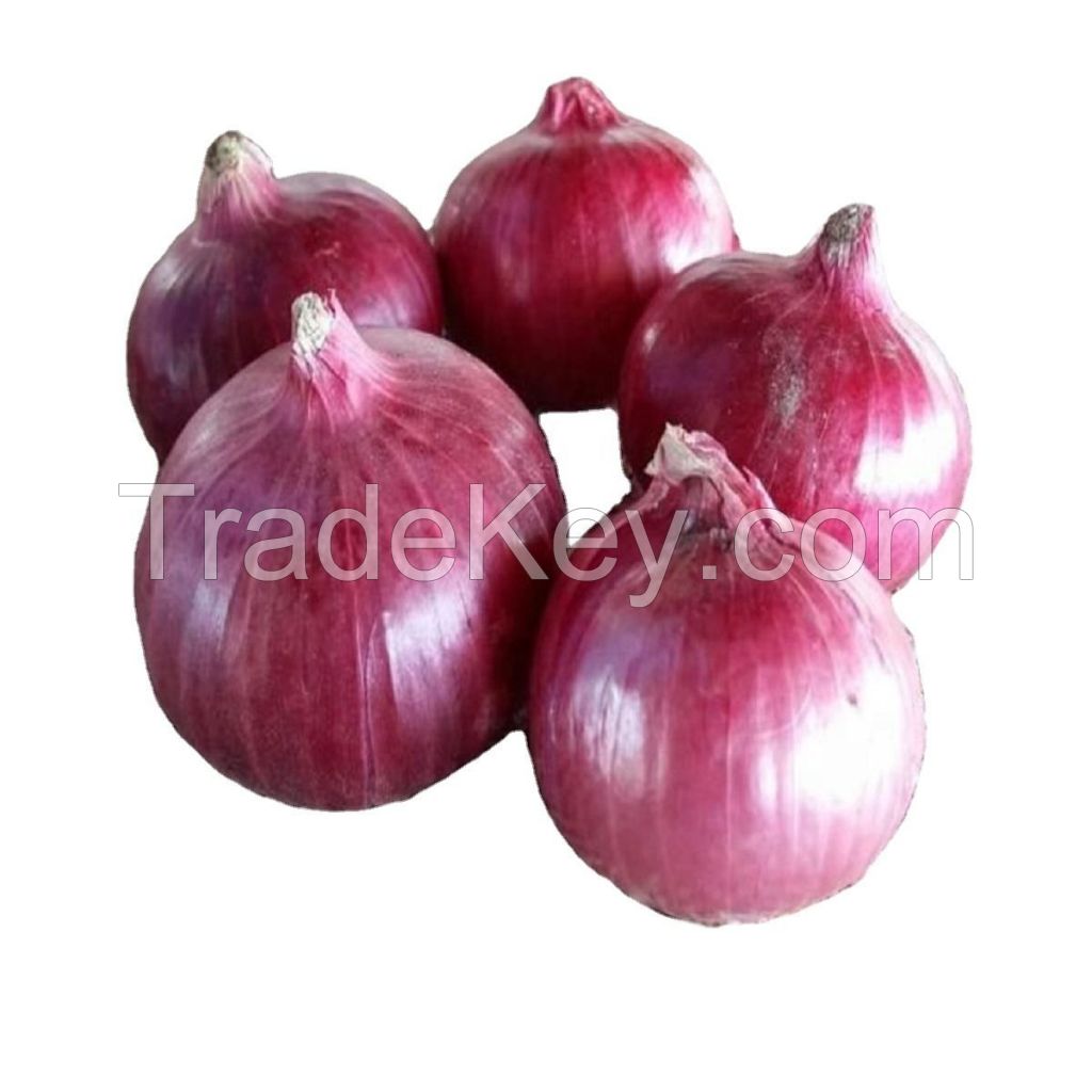 Premium Indian Red, Yellow, and White Onions for Export | Fresh Spring Onions for Sale