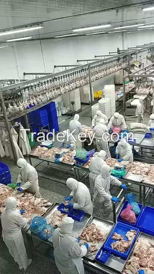 fresh frozen chicken leg quarter for sale halal frozen chicken leg quarter halal chicken leg quarter from usa whole bulk