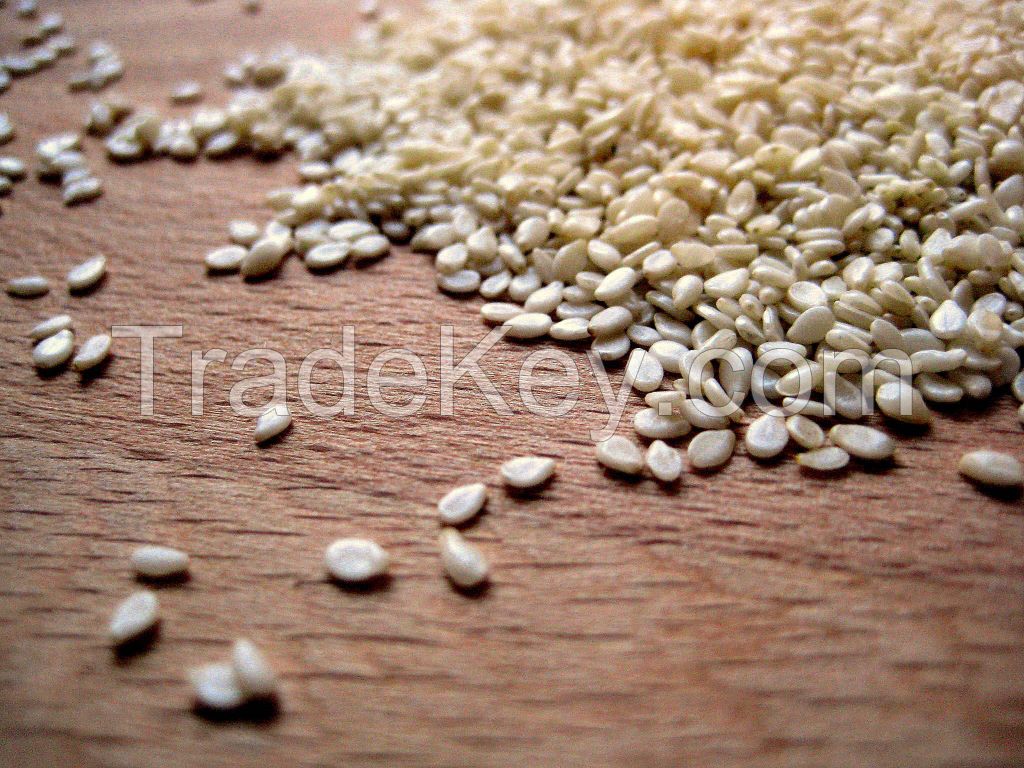 High quality raw white sesame finest quality of white sesame seed for export Now