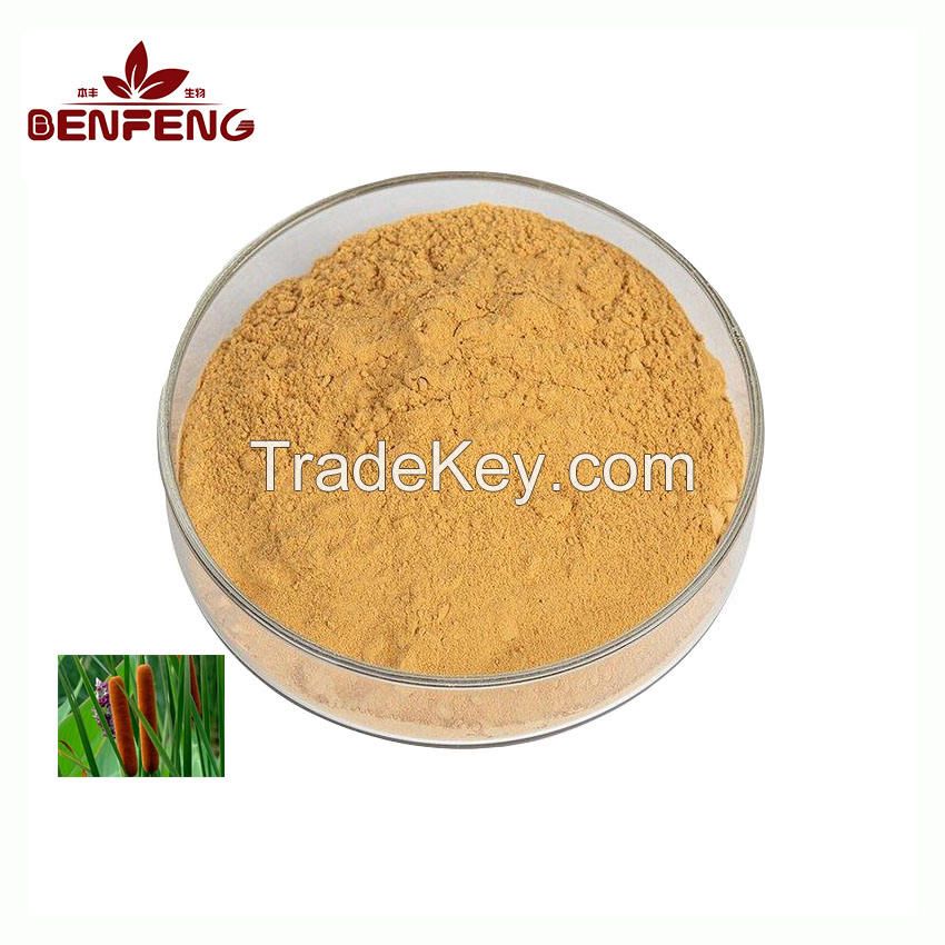 hot selling natural Cattail pollen extract Cattail pollen extract powder