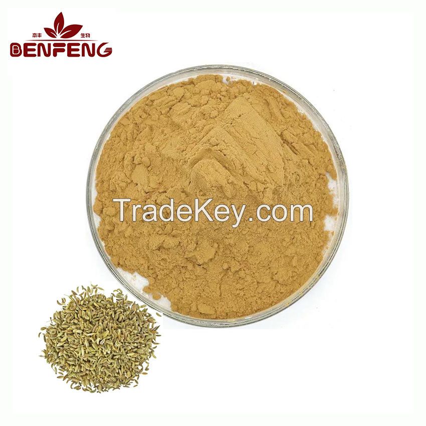 Bulk Fennel Crithmum Maritimum Extract Pure Natural 10:1 Fennel Seed Extract Powder