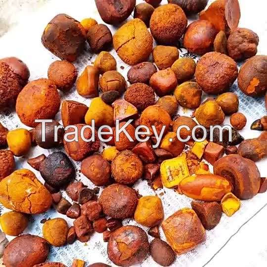 type 1 soluble collagen dried gallstone cattle and cow gallstones ox powder bee venom extract 100 pure buyers yellow for sale