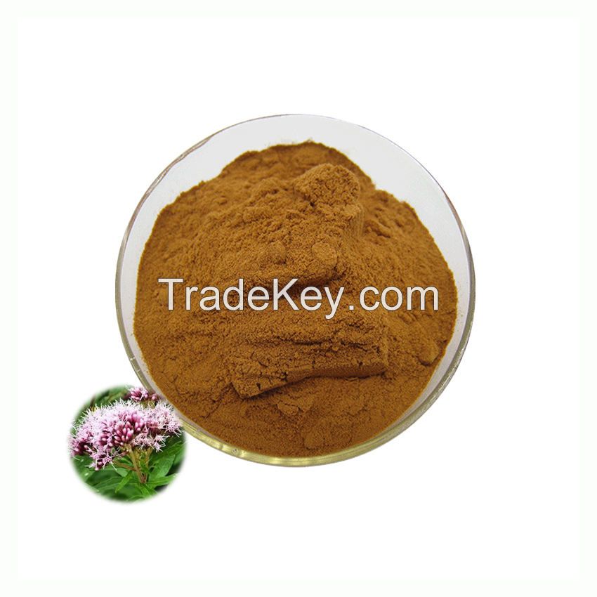 High Quality Valerian Extract Valerianic Acid Powder Natural 10:1 Valerian Root Extract