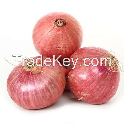 Fresh Red Onion Importers Fresh Vegetables onion wholesale red onion with good price
