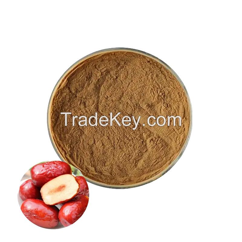 Hot Selling Zizyphus Seed Extract Powder Plant Extract Jujube Seed Extract