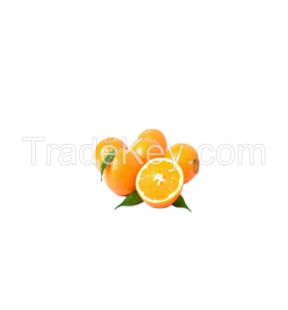 fresh citrus naval oranges fresh valencia oranges 20kg carton 25tons mandarins valencia orange fresh valencia oranges yellow