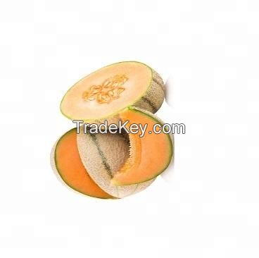 fresh cantaloupe muskmelon sweet honeydew style holiday weight delta water type for sale watermelon cantaloupe melon