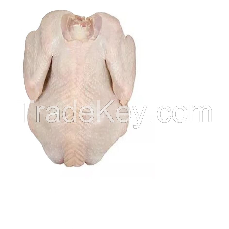 frozen chicken fresh chicken best quality halal frozen chicken drumstick poultry meat for sale