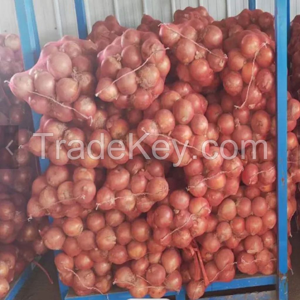 Premium Indian Red, Yellow, and White Onions for Export | Fresh Spring Onions for Sale