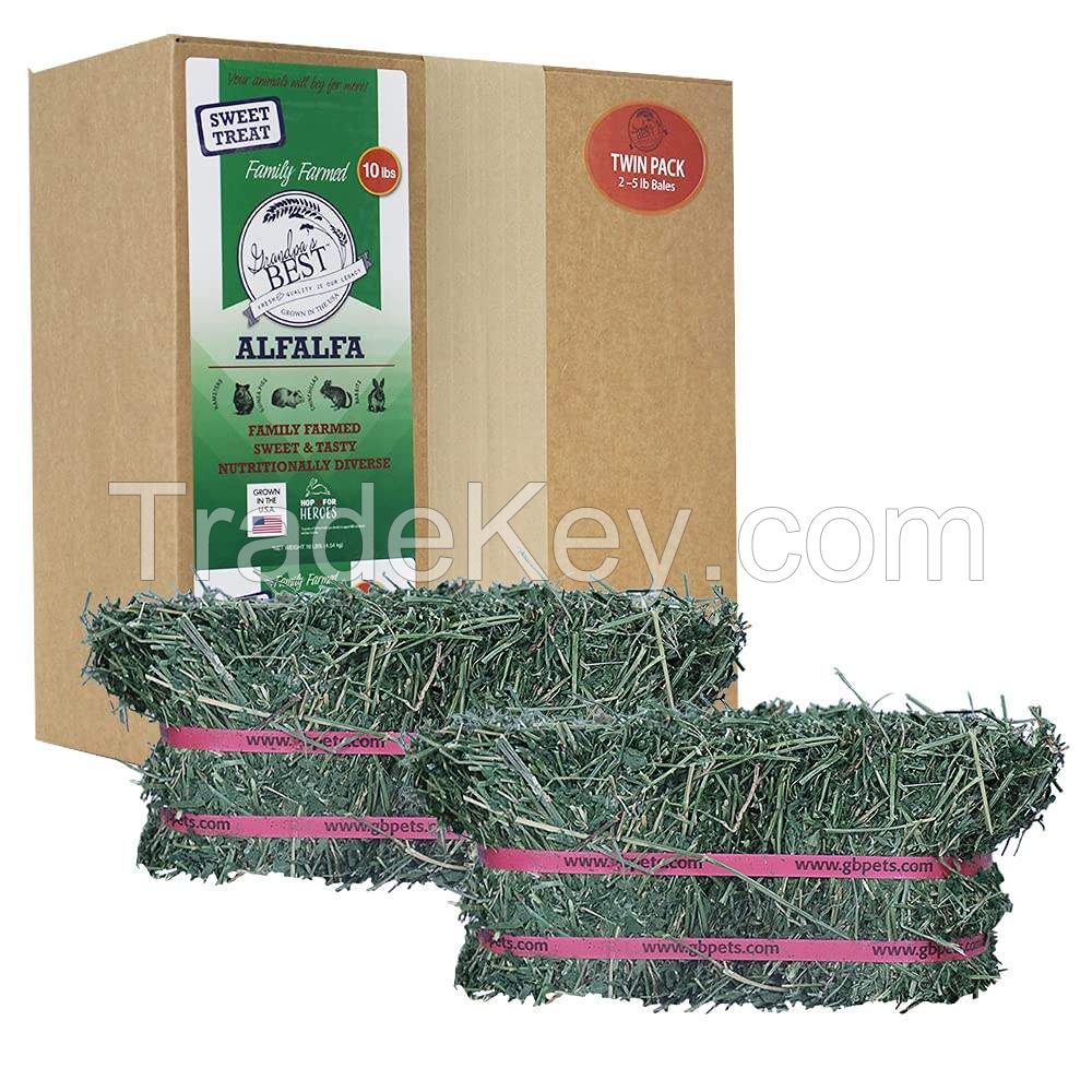 Premium Alfalfa Hay - Bundles Of Hay For Sale Bulk Premium Organic Wholesale Alfalfa Timothy Hay