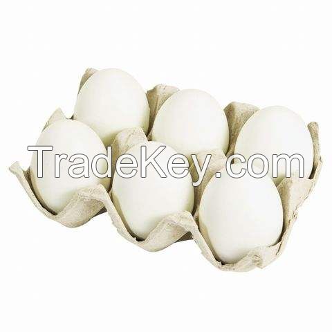 High Standard Best Quality Chicken Egg From Turkey Fresh and Natural Egg Wholesale Price Animal Products Eggs