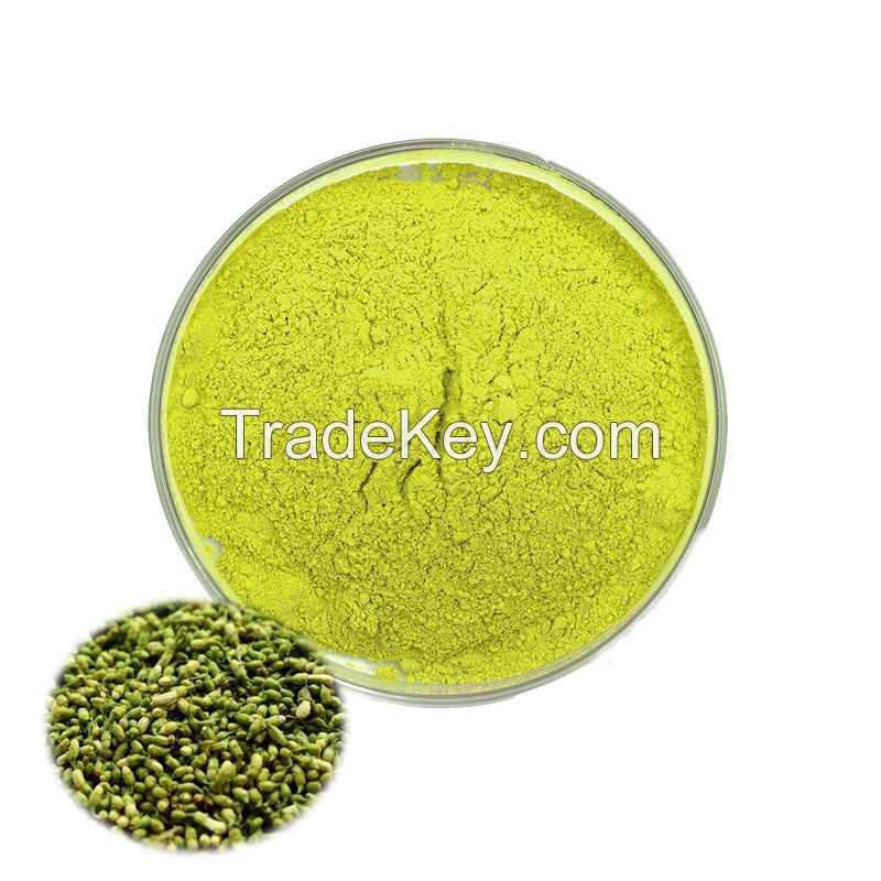 High Quality Sophora Flower Extract 98% Quercetin Sophora Japonica Extract Powder