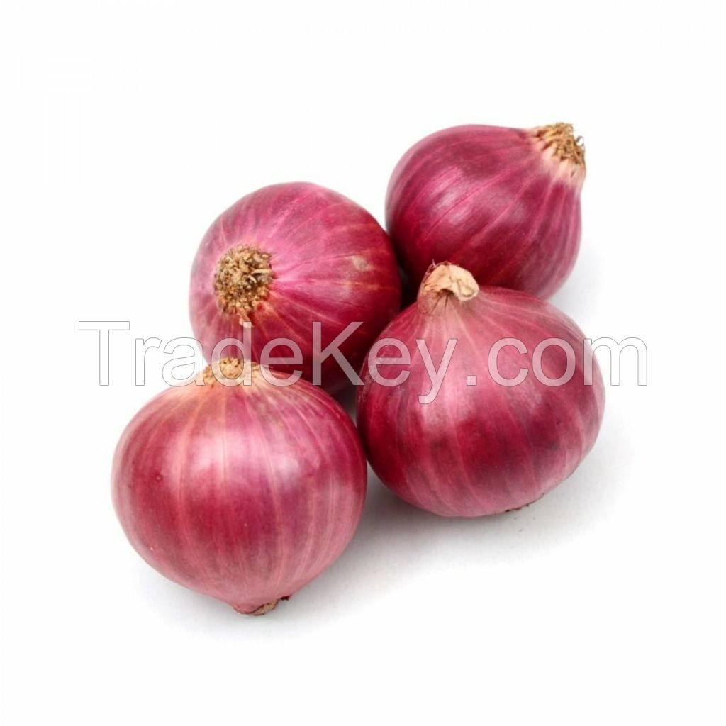 Fresh Red Onion Importers Fresh Vegetables onion wholesale red onion with good price