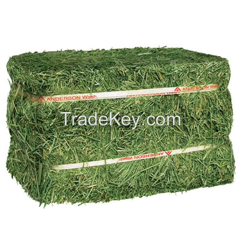 Hay Animal Feeding Stuff Alfalfa | hay/alfalfa hay pellets Timothy Hay/ Alfafa in Bales