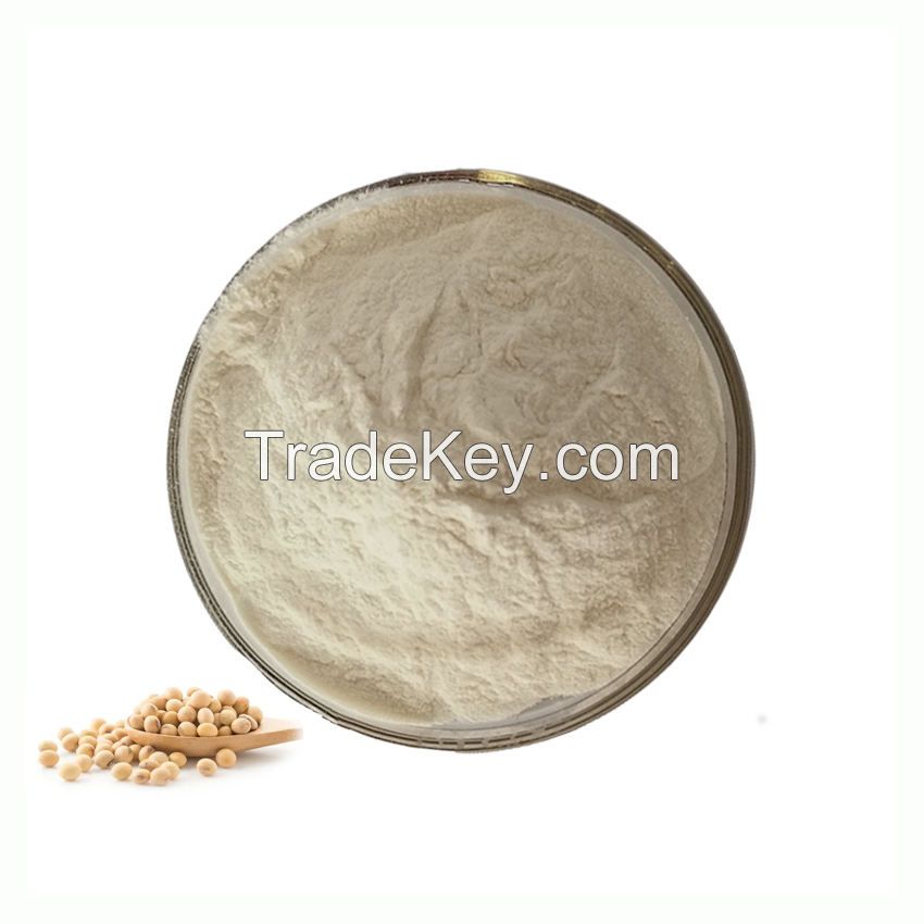 Bulk Natural Supplements Soybean Lecithin CAS 8002-43-5 Food Grade Soy Lecithin Powder