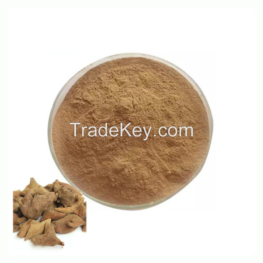High Quality Gall Extract Powder Ellagic Acid Food Grade 10:1 Gallnut Extract