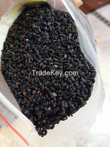 High quality raw white sesame finest quality of white sesame seed for export Now