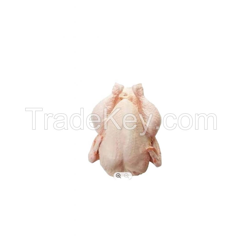 frozen chicken fresh chicken best quality halal frozen chicken drumstick poultry meat for sale