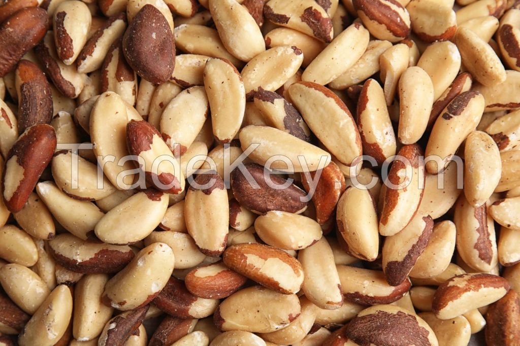 Top Grade Raw Brazil Nuts, Brazil Nuts Shelled Brazil Nuts