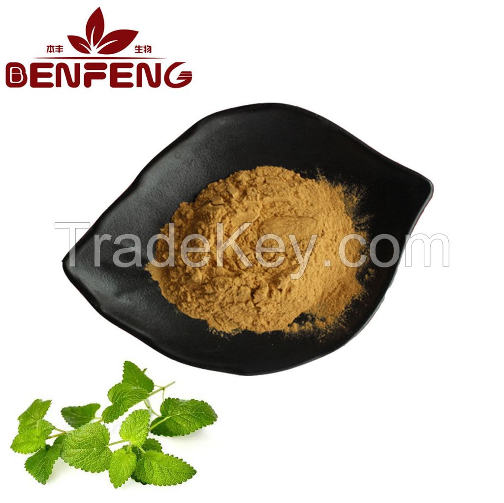 Wholesale bulk Lemon Balm Extract powder Lemon Balm Leaf Extract