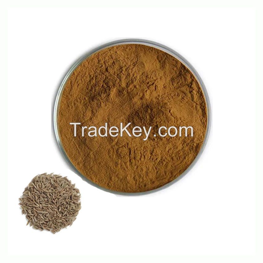 High Quality Cumin Seed Extract Powder 10:1 Natural Cuminum Cyminum Extract