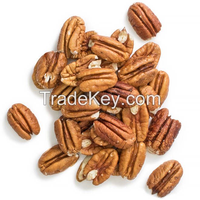 Pecan Nut Roasted Salted Pecans/Raw Pecan Nuts with Shell