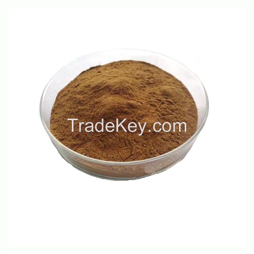 Organic Vitex agnus Castus Extract Powder Natural 10:1 Chaste Tree Extract