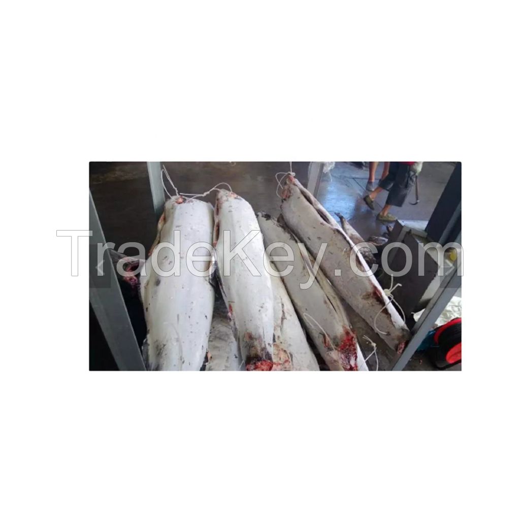 first quality white red snapper fish food grade 10kg carton 27tons 15day frozen king snapper fresh snappers red white fish price