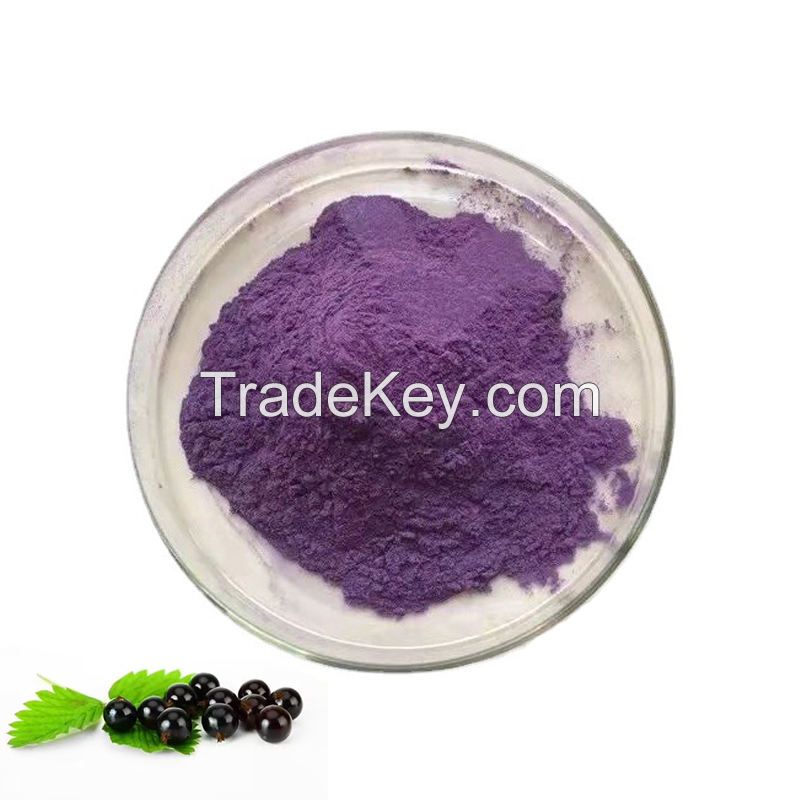 hot selling Best Quality Bulk Black Goji Berry Powder Black wolfberry juice powder