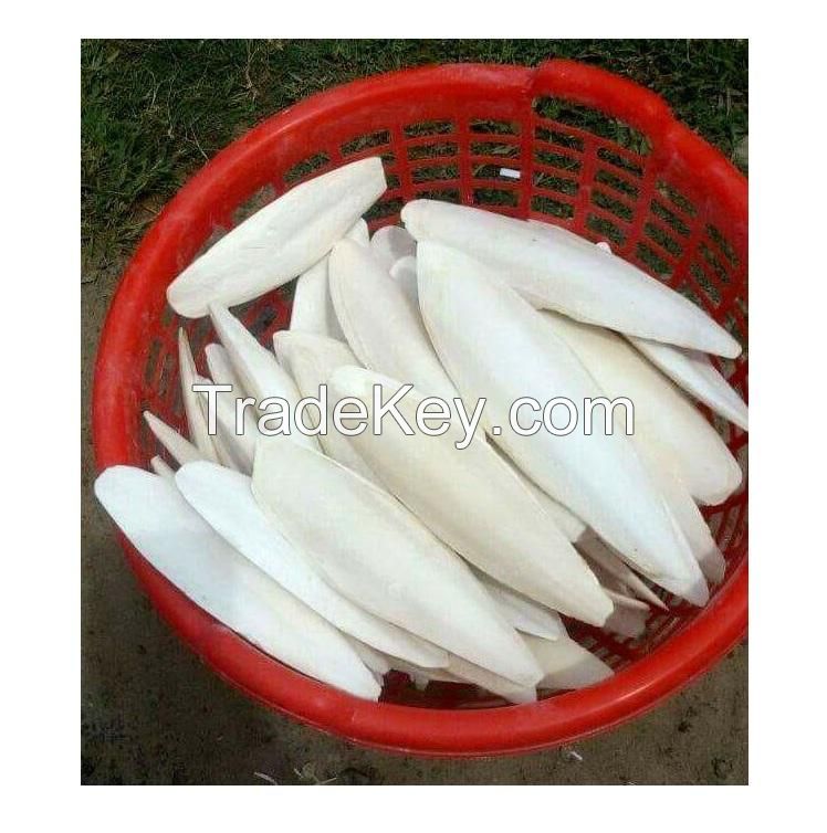 High Quality Dry Cuttlefish Bone Cuttlebone 100% Natural Cuttlefish Bone From Vietnam