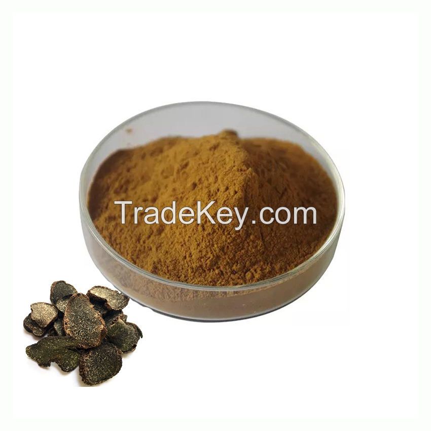 High Quality Natural Black Truffle Extract Powder 10:1 Perigord Truffle Extract