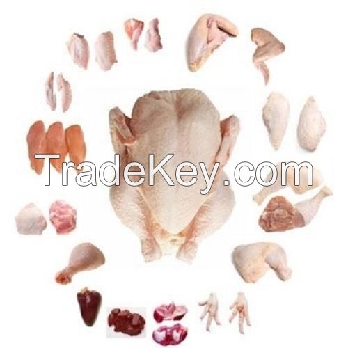 Halal Frozen Chicken and Chicken Parts