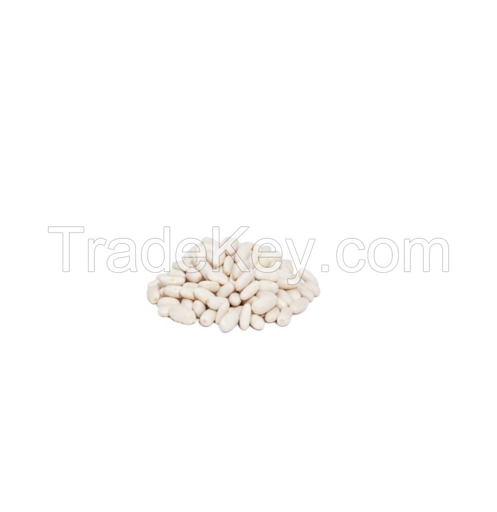 type small round red beans best price wholesale  suggar  white kidney beans Light Speckled Kidney Beans