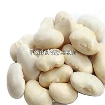 Butterbeans Lima beans butter shea butter bean canned butter beans 100% organic natural agriculture product large white kidney