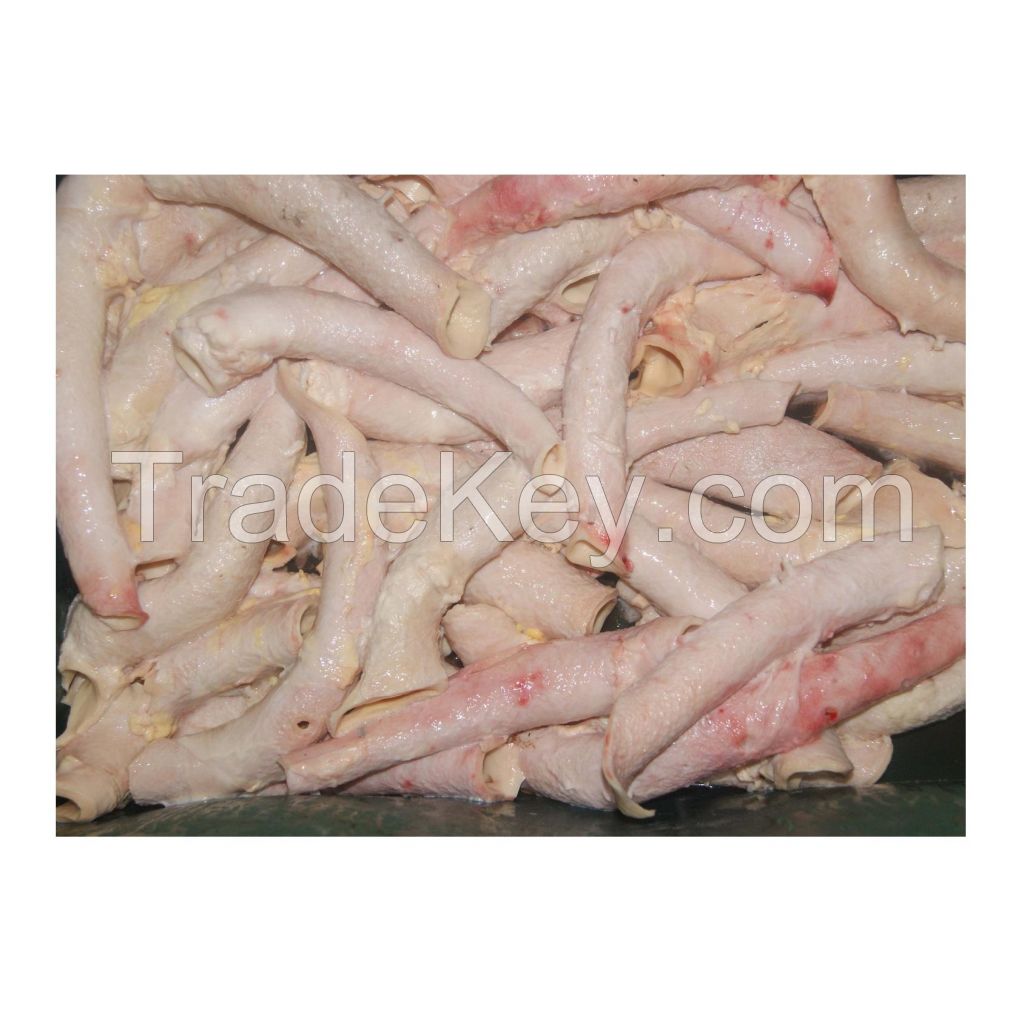 Good quality cheap price Frozen Frozen Hake Fish HGT / Whole Fish