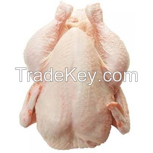 Halal Frozen Chicken and Chicken Parts