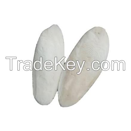 High Quality Dry Cuttlefish Bone Cuttlebone 100% Natural Cuttlefish Bone From Vietnam