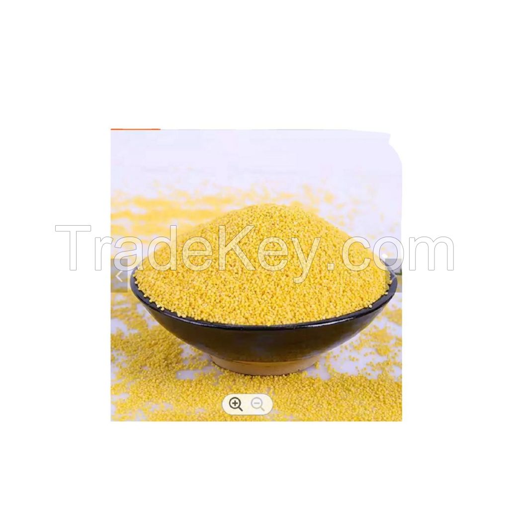 Yellow Millet in Husk for Bird Feeds Nature Chinese Max Style Color MACHINE Origin Type Size Dried yellow millet