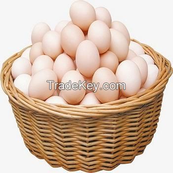 Wholesale Fresh White Brown Table Eggs /Fresh Chicken Table Eggs &amp; Fertilized Hatch
