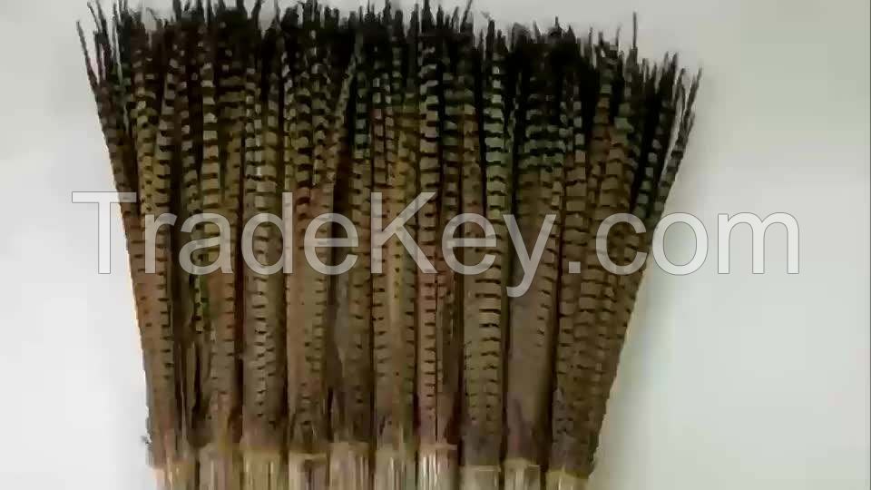 Wholesale custom private label tail feathers bleached dyed ringneck tail feathers lady amherst pheasant feathers