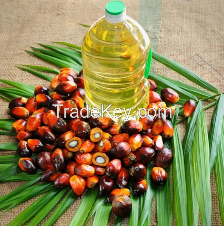 Olein CP8 Palm Oil Vegetable Cooking Oil